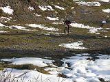 11-2014 Valsassina - 081